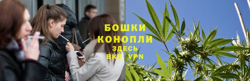 купить  цена  Бахчисарай  Марихуана OG Kush 